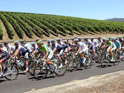 cycling tour in australia, professional teams in Australia, incentive travel