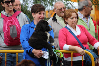 Fiestas de Llano