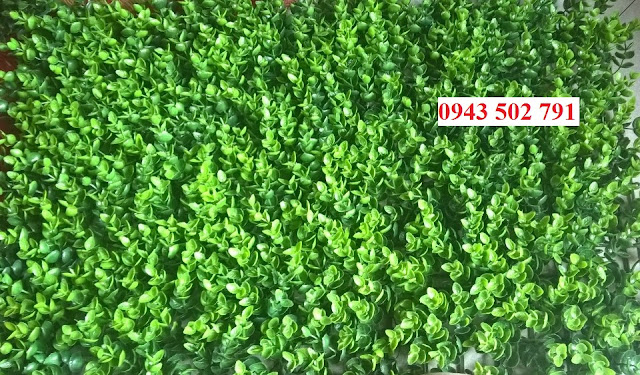 Cỏ nhựa, cỏ tấm treo tường tại Quảng Ninh
