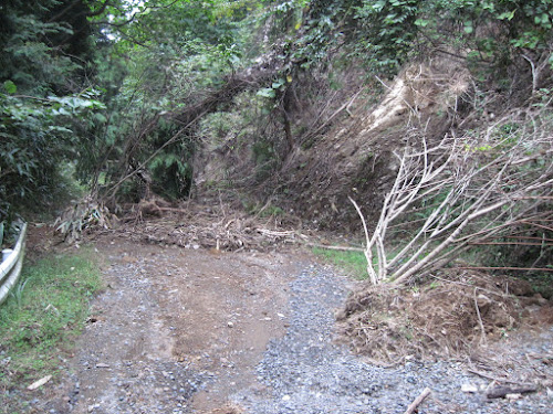 台風9号の爪跡