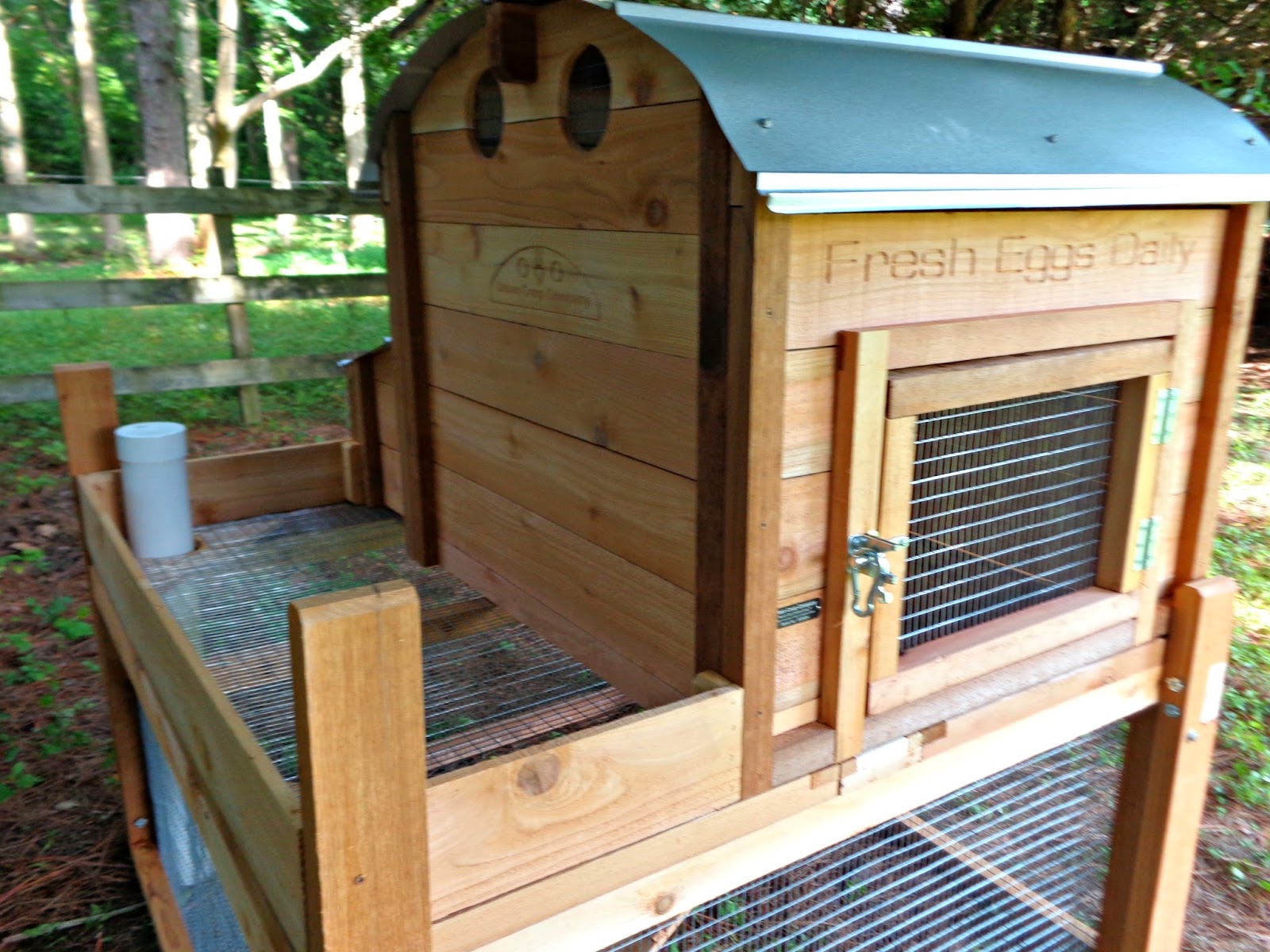  Eggs DailyÂ®: GIVEAWAY: Urban Coop Company Round-Top Chicken Coop