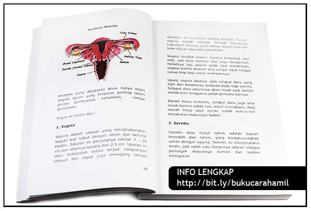 Tips dan Langkah-Langkah Agar Cepat Hamil