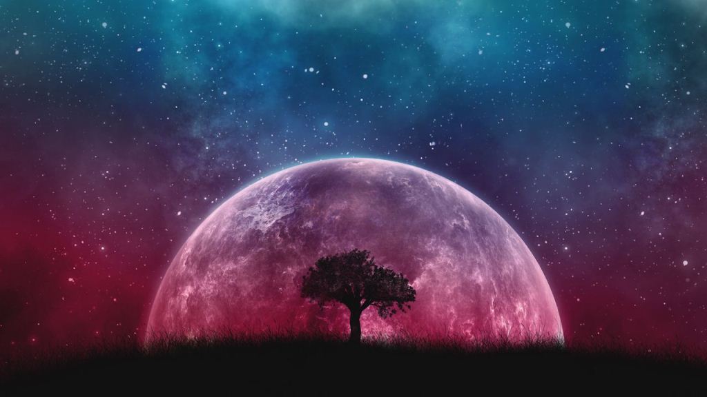 Wallpaper Tree Planet Stars Galaxy Art