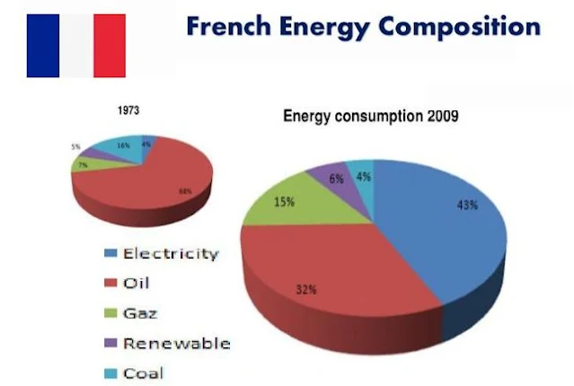 The composition of energy consumption in France
