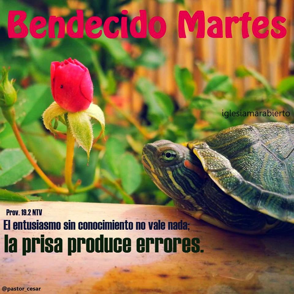 Bendecido Martes