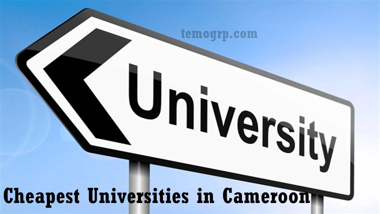 Top 10 Cheapest State or Government-Owned Universities in Cameroon