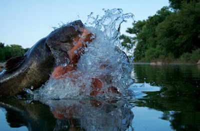 Okie Noodling Tournament Seen On www.coolpicturegallery.net