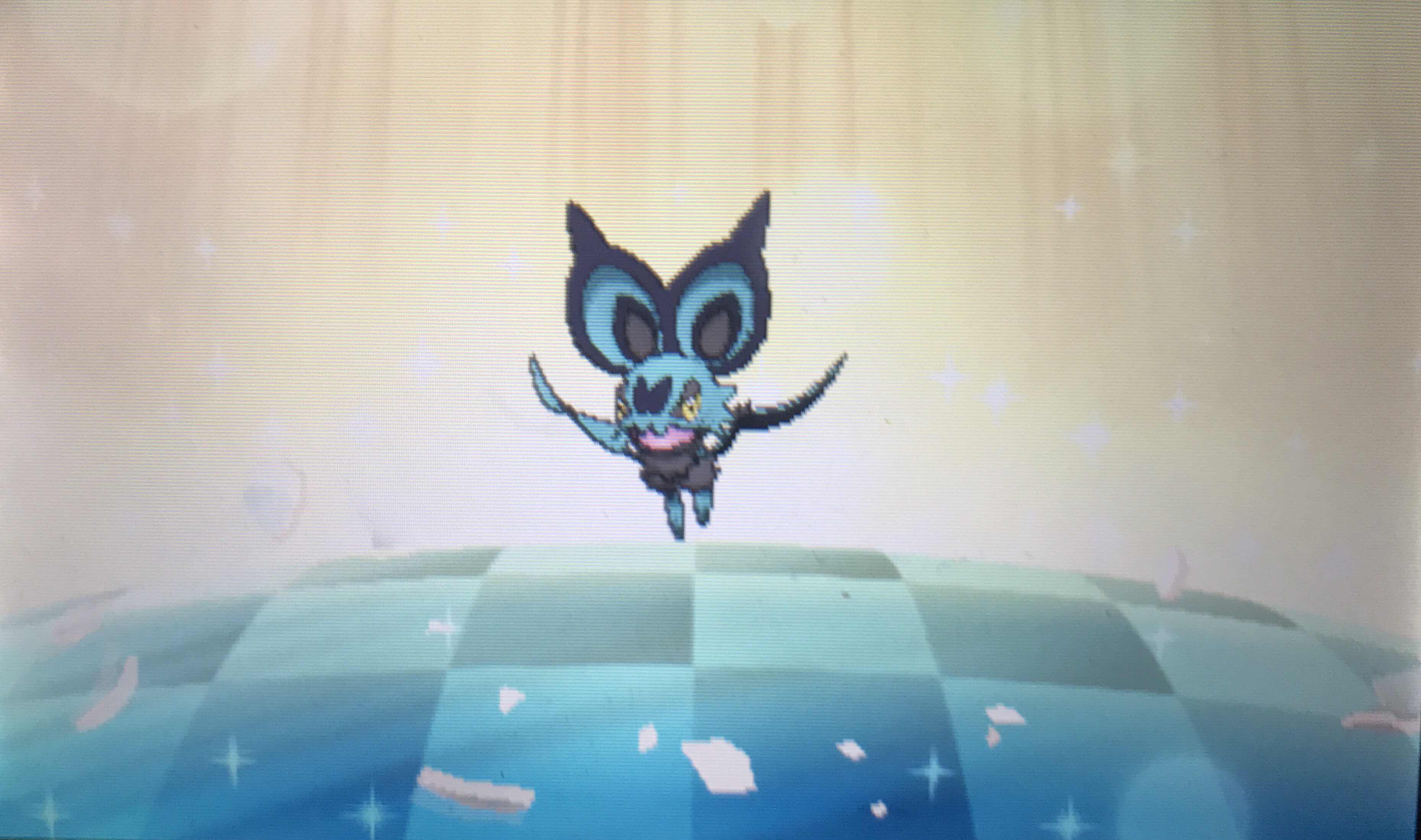 懐かしのポケトレで色違いトリミアンをゲット ふみの色違いポケモンブログ