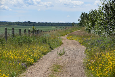 Strathcona Alberta trail sign.