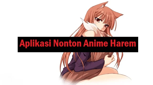 Aplikasi Nonton Anime Harem