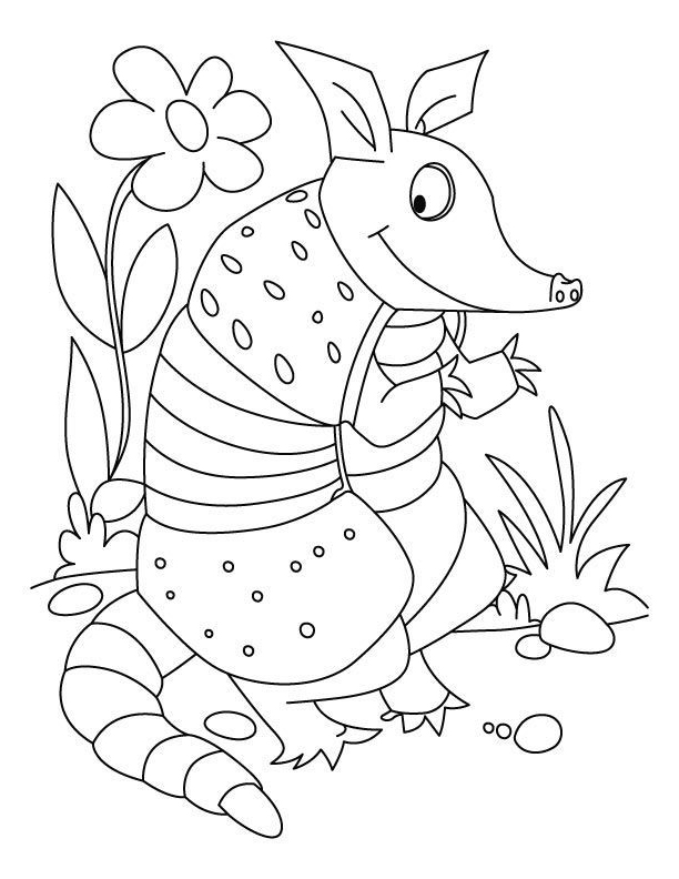 beautiful animals coloring page