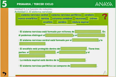 http://www.ceiploreto.es/sugerencias/A_1/Recursosdidacticos/QUINTO/datos/02_Cmedio/datos/05rdi/ud05/02.htm