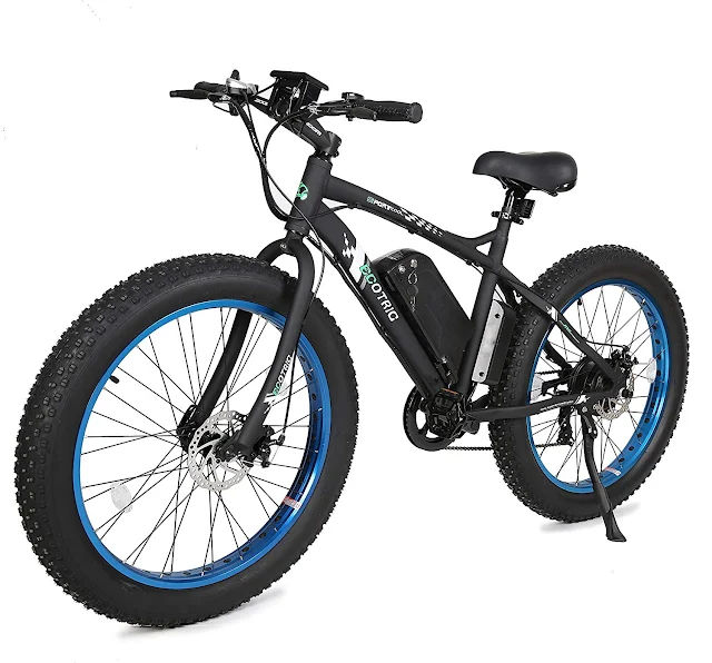 ECOTRIC Fat Tire Electric Bike