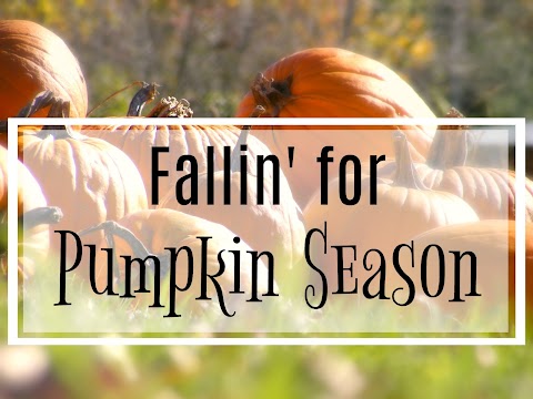 Fallin' For Pumpkin Season