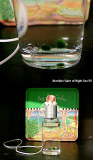 Pictures of my marimo; A post with pictures of marimo. Night Sea 90.