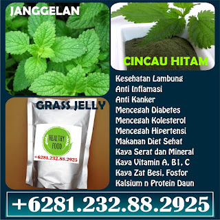 Cincau Hitam, Jual Cincau Hitam, Jual Cincau Hitam Jogja, Jual Cincau Hitam Bubuk, Jual Cincau Hitam Surabaya, Jual Cincau Hitam Depok, Jual Cincau Hitam Powder, Jual Cincau Hitam Tangerang, Jual Cincau Hitam Purbalingga, Supplier Cincau Hitam