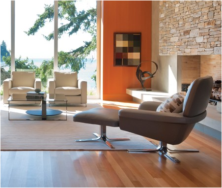  Mid  Century  Modern  Living Room Design  Ideas  Home 