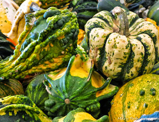 gourds photo by mbgphoto