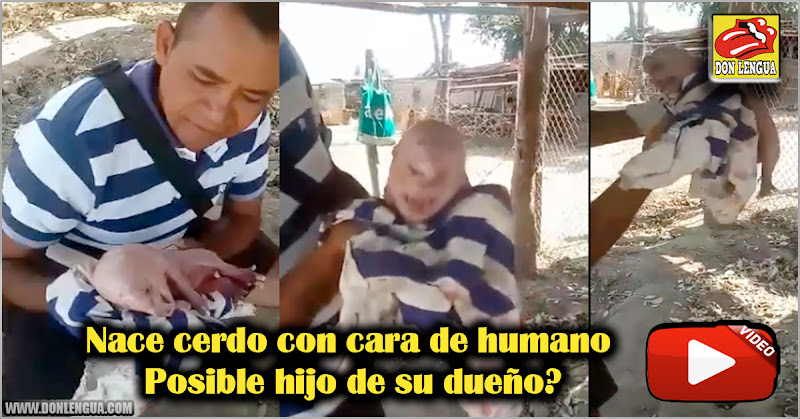 Nace cerdo con cara de humano en Venezuela -  Posible hijo de su dueño?