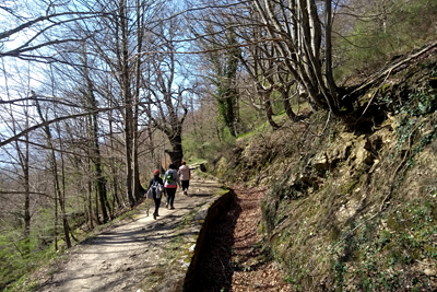 Canal a la Presa del Tambor