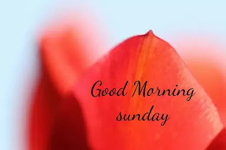 Good morning happy Sunday