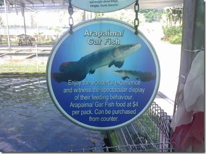 Arapaima fish (Arapaima gigas) sign at mainland fish farm singapore