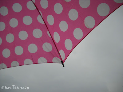 rain on the umbrella