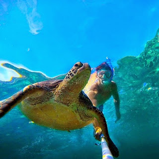 Christian Leblanc swimming with a huge tortoise and taking an underwater selfie with them during his tour to Asia via geniushowto.blogspot.com the elephant clicked a selfie