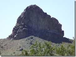DSCF2190