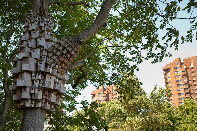 Spontaneous City in The Tree of Heaven by London Fieldworks