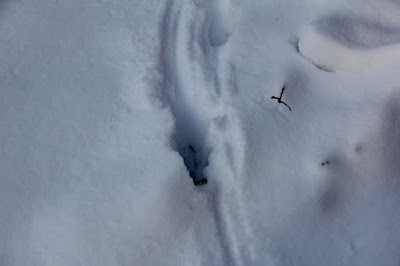 closeup of individual tracks