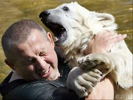 bear-attack