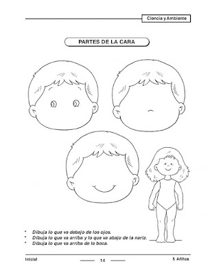 Partes de la cara para Inicial Preescolar