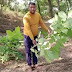 ग़ाज़ीपुर वन विभाग ने पौधों की जगह टहनी मिट्टी में खोंसकर किया वृक्षारोपण, जांच के आदेश