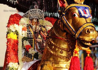 Udaiyavar,Emperumanar,Parthasarathy Perumal,Ramanujar, Varushotsavam, 2018, Video, Day 06,Vellai Sathupadi,Divya Prabhandam,Triplicane,Thiruvallikeni,Utsavam,Velambi,Tamil Puduvarudam