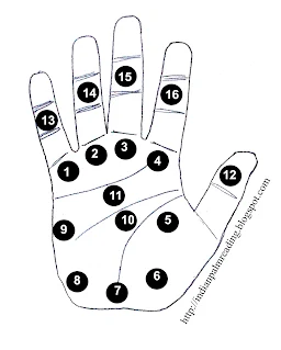 Palm Reading Lines, Guide & Chart For Beginners