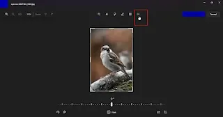 Hapus Background Foto Lewat Aplikasi Photos Windows 11