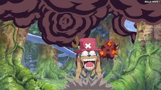 ワンピース アニメ 空島 スカイピア 170話 チョッパー Tony Tony Chopper | ONE PIECE Episode 170