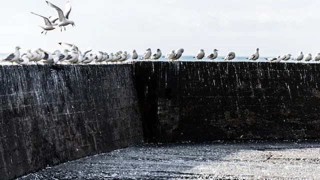 rabble, rubble, スペルが似ている英単語