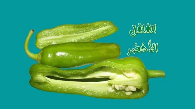 الفلفل الأخضر, green peppers,green bell pepper
