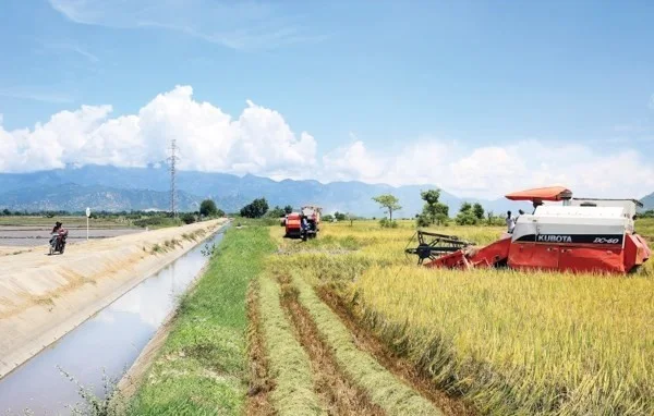 Ninh Thuận hỗ trợ đồng bào dân tộc thiểu số về đất ở và nước sinh hoạt