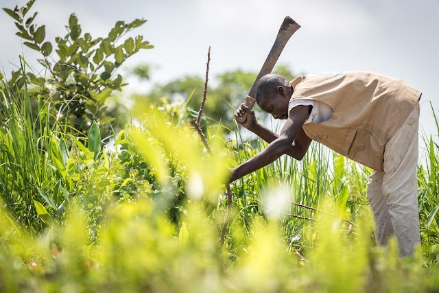 Jubilee and Local Recovery of the Environment, Economies, Freedoms, Faith and Family Values:  We have a once in a lifetime opportunity to see this happen, locally and globally, for all people.