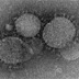 Mengenal Middle East Respiratory Syndrome Coronavirus (MERS-Cov)