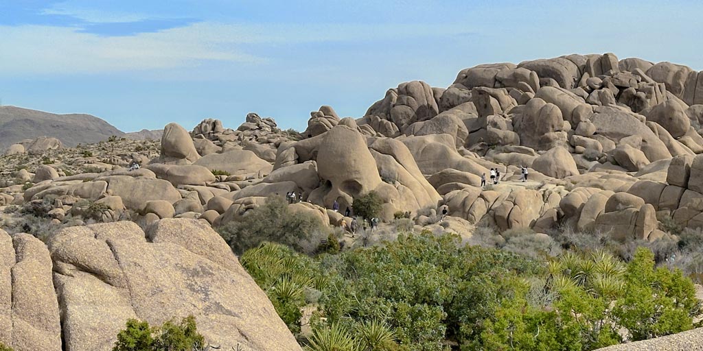 Skull rock from a distance, among a large collection of windswept and rounded boulders