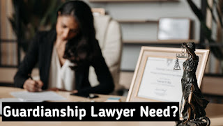 What Does my Guardianship Lawyer Need to Know?