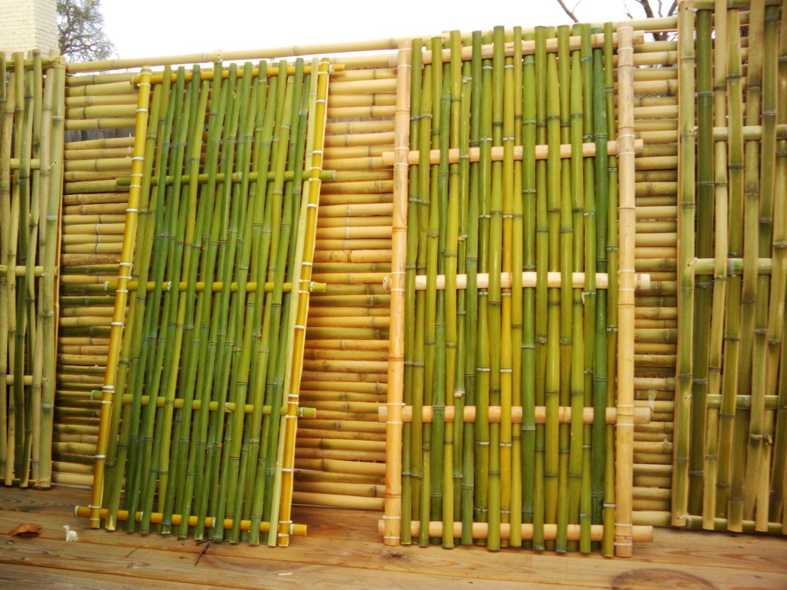 Bamboo Panels6