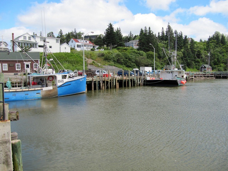 bay-of-fundy-9
