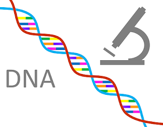 perbedaan dna rna gen dan kromosom