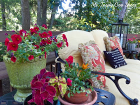 Summer Backyard Deck --- Ms. Toody Goo Shoes