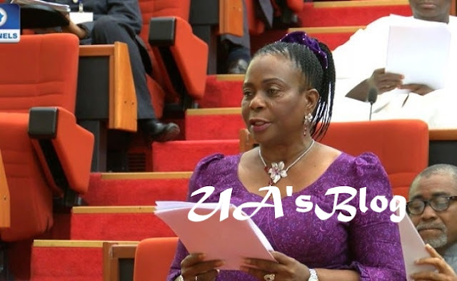 Drama At National Assembly As Senator Orders Staff To Be Slapped For Entering Lift With Her